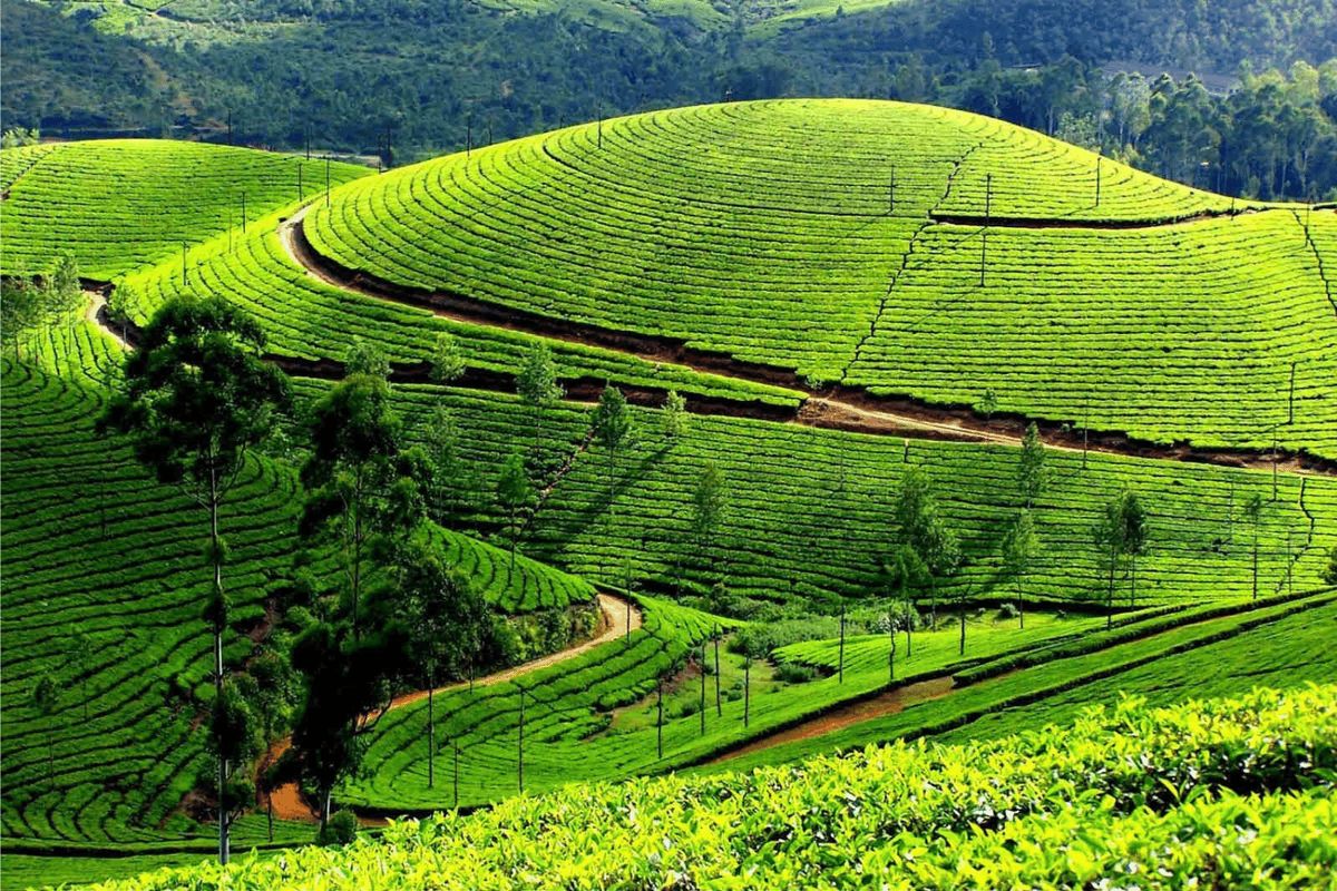 TP.HCM – HÀ NỘI – HẠ LONG – NINH BÌNH TAM CHÚC – MỘC CHÂU – MAI CHÂU - ảnh 1