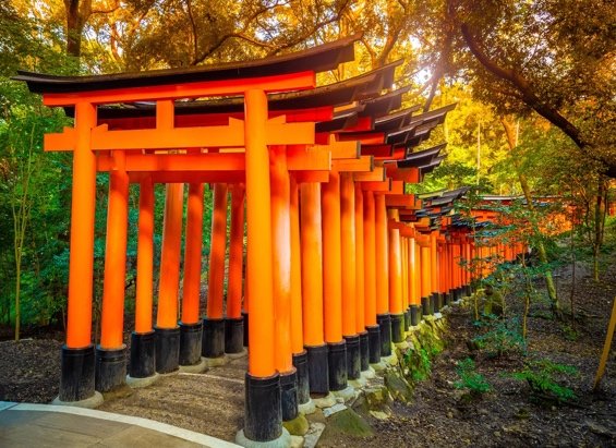 Hà Nội - OSAKA - NARA - KYOTO - FUJI - TOKYO (6N5Đ) - ảnh 1
