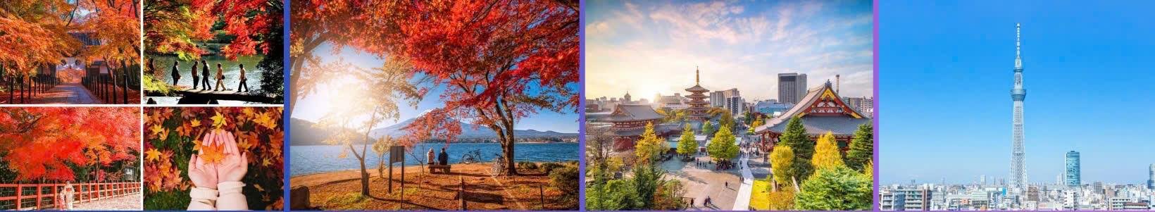 HÀ NỘI - OSAKA- KOBE- KYOTO- NÚI PHÚ SĨ - TOKYO (6N5Đ) - ảnh 1