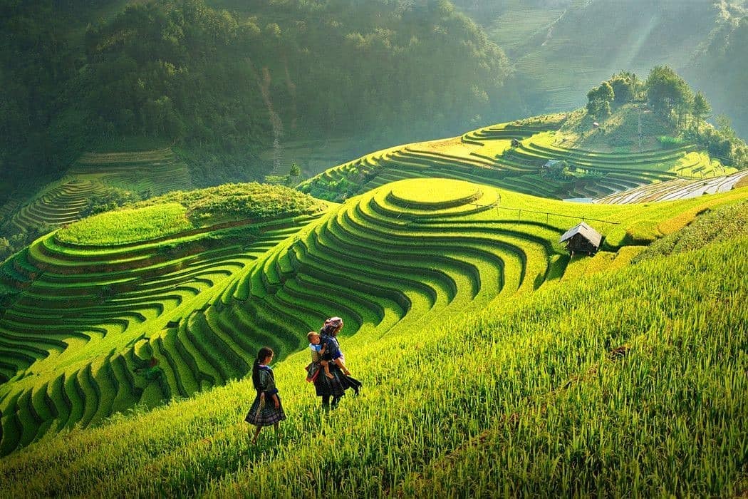 TP.HCM	– HÀ NỘI	– HẠ LONG	– NINH BÌNH - TRÀNG AN	– TAM	CHÚC	– SAPA – FANSIPAN - ảnh 2