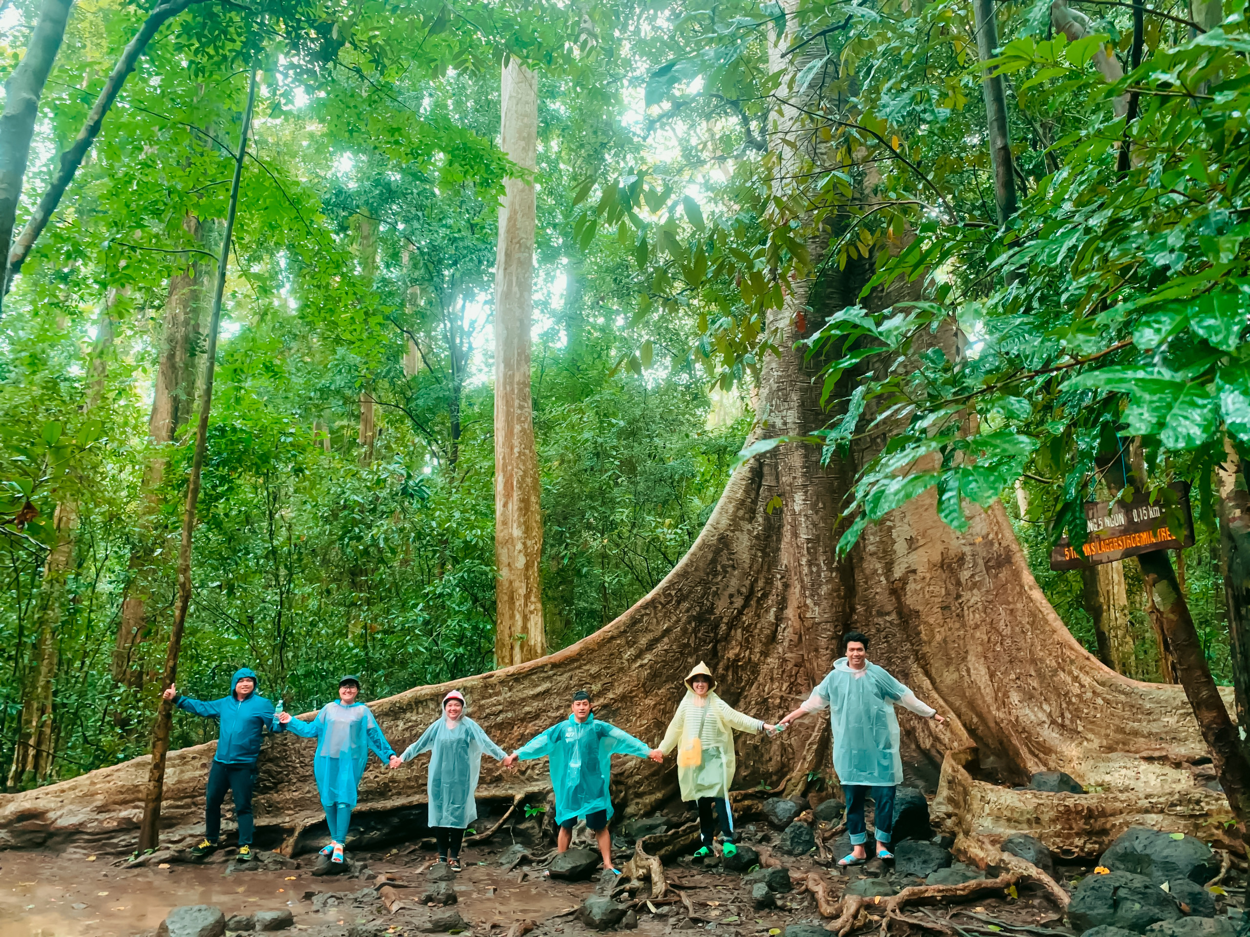 NAM CÁT TIÊN  -  VƯỜN QUỐC GIA CÁT TIÊN - ảnh 4