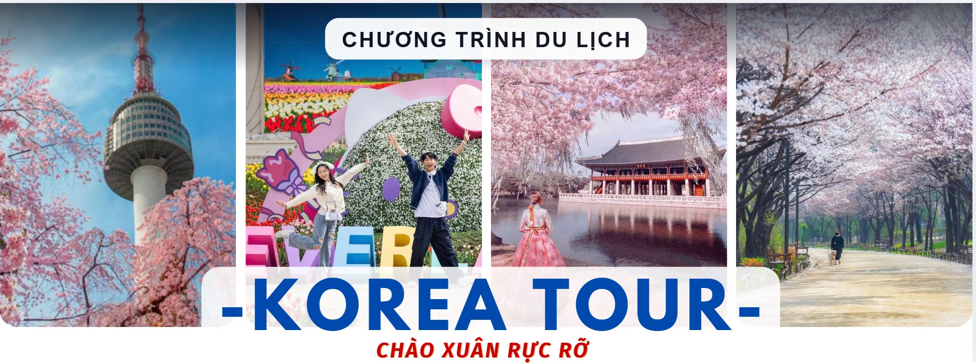 SEOUL - NAMI - EVERLAND - HÁI DÂU MÙA XUÂN (Đi sáng về tối) - ảnh 2