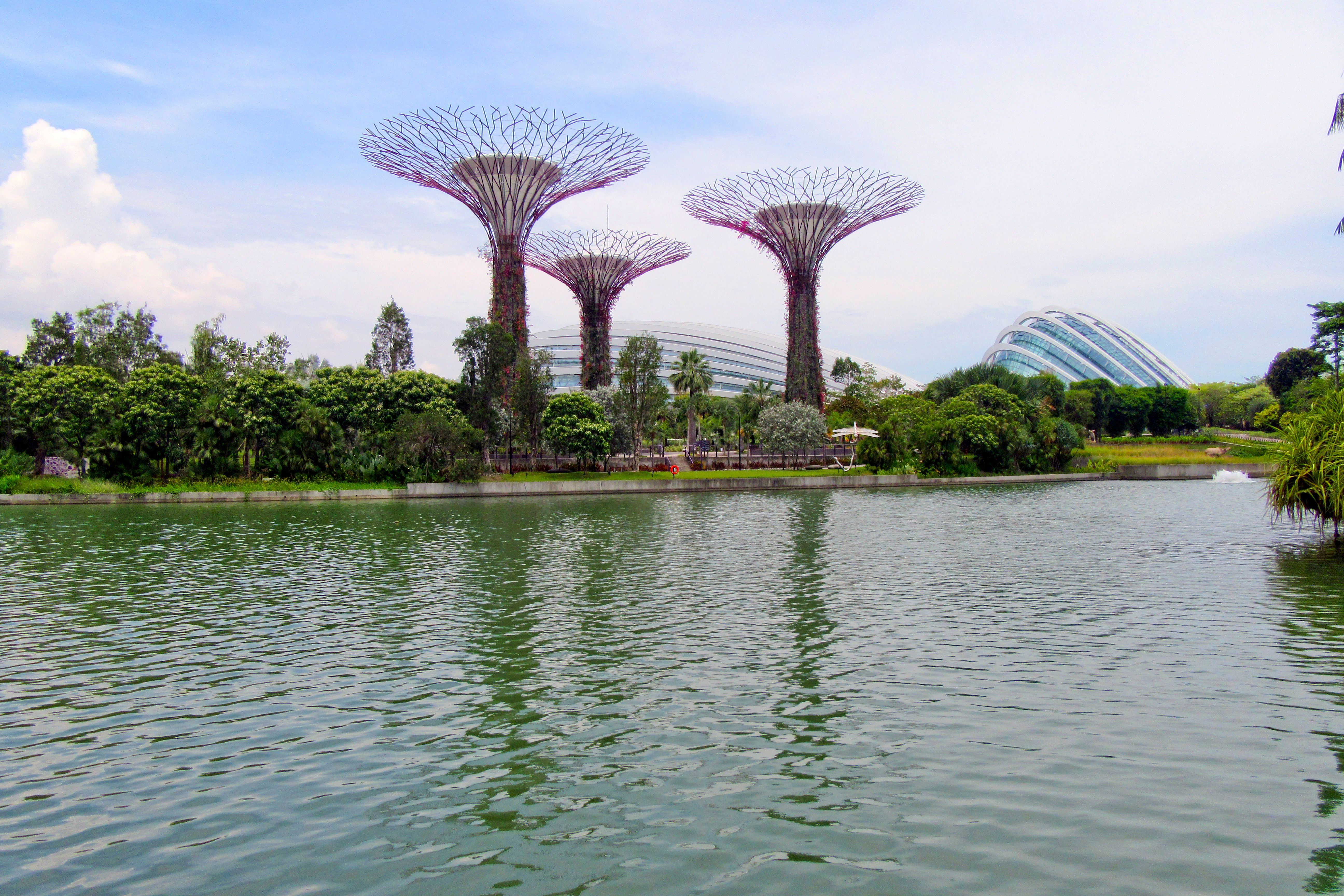 TP.HỒ CHÍ MINH – SINGAPORE | KHÁM PHÁ SINGAPORE - ảnh 2