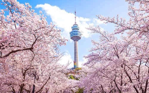 HÀN QUỐC - BUSAN - DAEGU - SEOUL 6N5Đ - ảnh 7