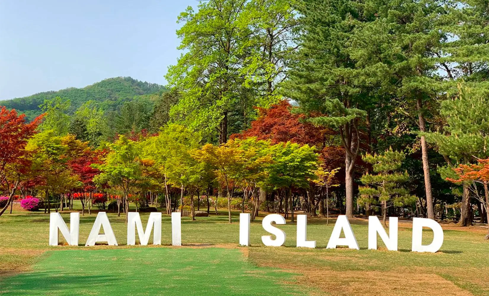 HÀN QUỐC - BUSAN - DAEGU - SEOUL 6N5Đ - ảnh 4