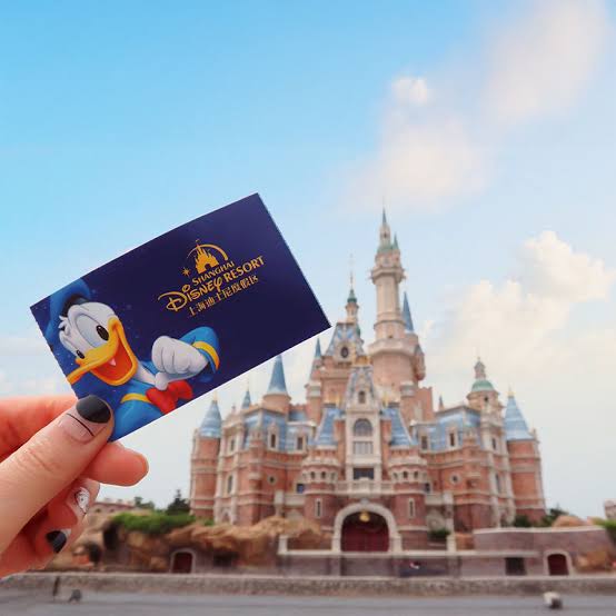 THƯỢNG HẢI – Ô TRẤN – HÀNG CHÂU – DISNEYLAND ( NO SHOP ) - ảnh 3