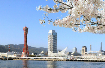 SẮC TUYẾT NHẬT BẢN 2026 OSAKA – KOBE – KYOTO – NAGOYA – YAMANASHI – YOKYO  - ảnh 5