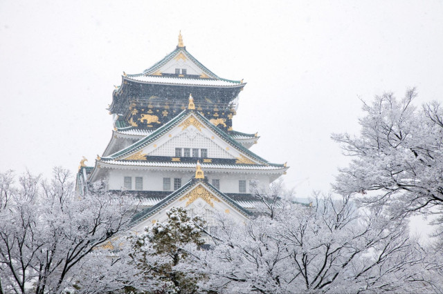 SẮC TUYẾT NHẬT BẢN 2026 OSAKA – KOBE – KYOTO – NAGOYA – YAMANASHI – YOKYO  - ảnh 9