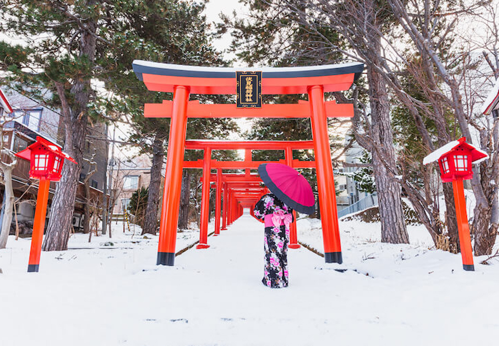 SẮC TUYẾT NHẬT BẢN 2026 OSAKA – KOBE – KYOTO – NAGOYA – YAMANASHI – YOKYO  - ảnh 2
