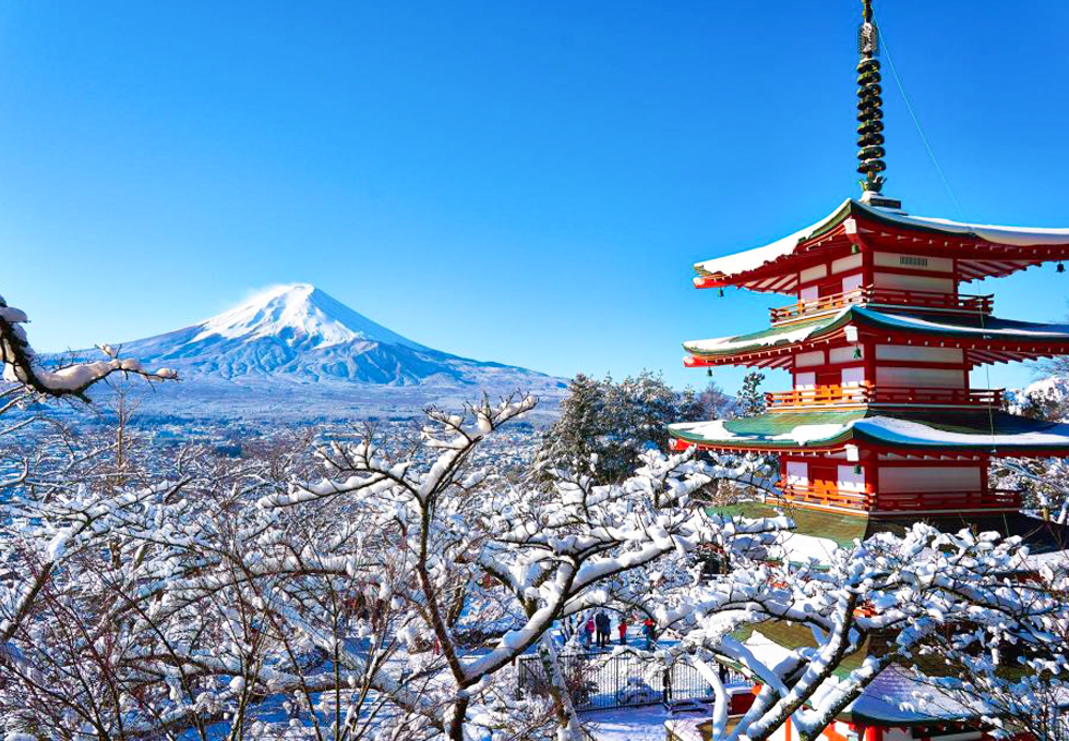 SẮC TUYẾT NHẬT BẢN 2026 OSAKA – KOBE – KYOTO – NAGOYA – YAMANASHI – YOKYO  - ảnh 8