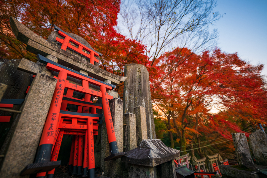 SẮC THU NHẬT BẢN NARA – OSAKA – KYOTO – NAGOYA – YAMANASHI – TOKYO - ảnh 2