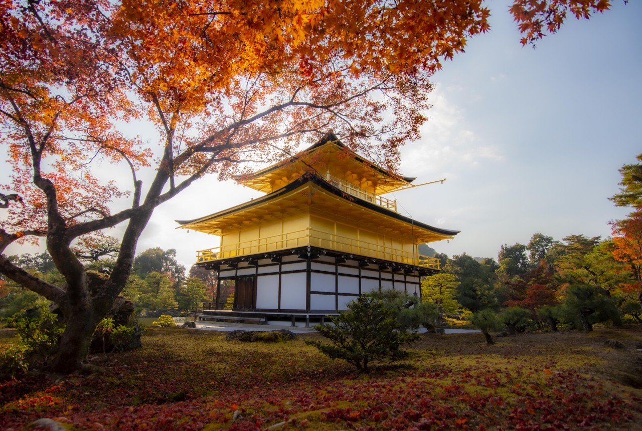 SẮC THU NHẬT BẢN NARA – OSAKA – KYOTO – NAGOYA – YAMANASHI – TOKYO - ảnh 6