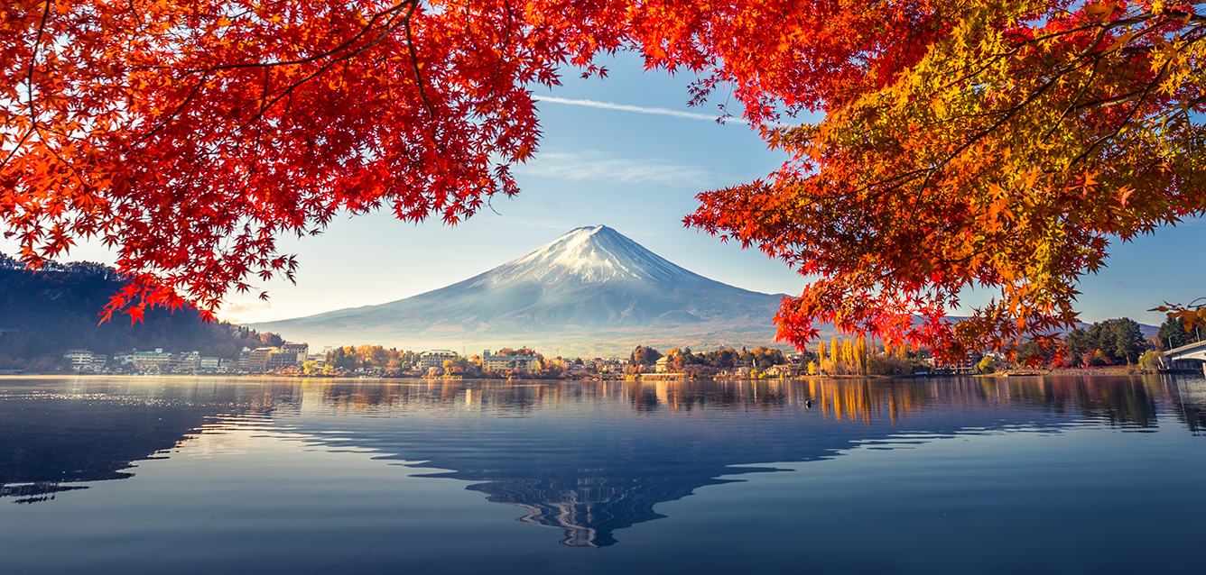 SẮC THU NHẬT BẢN NARA – OSAKA – KYOTO – NAGOYA – YAMANASHI – TOKYO - ảnh 7