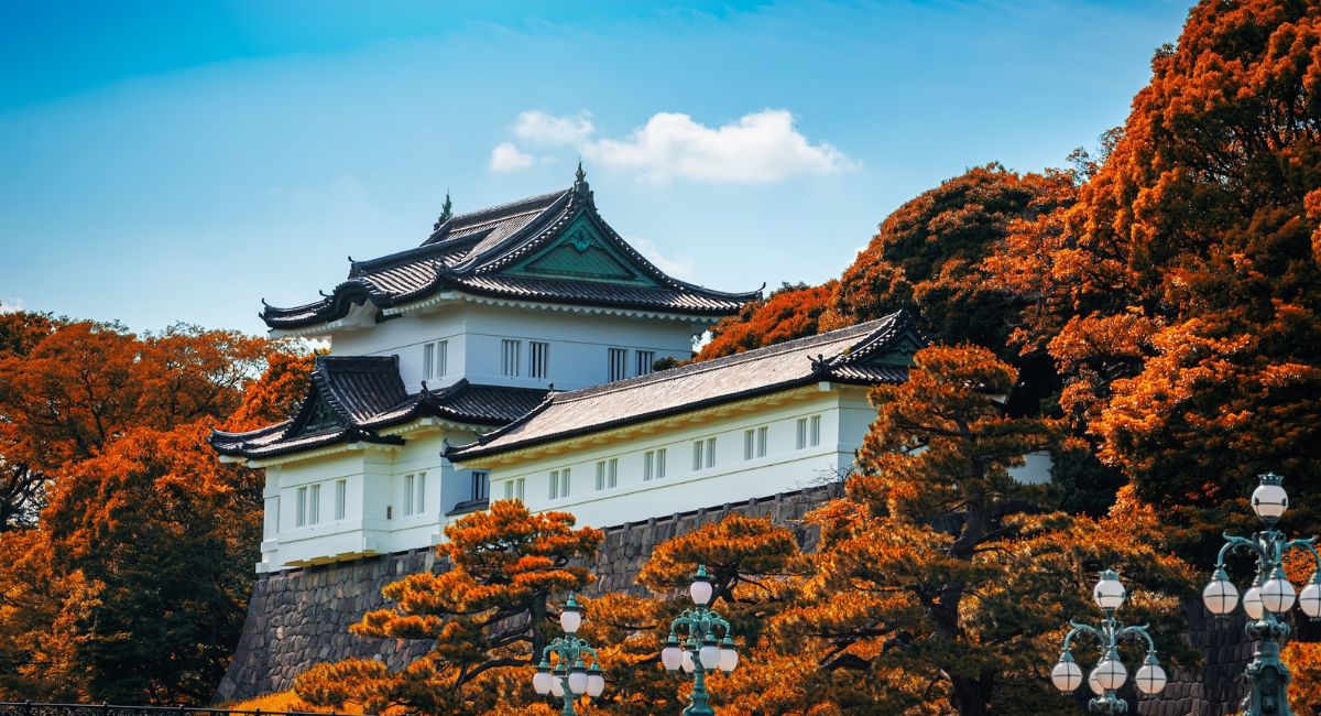 SẮC THU NHẬT BẢN NARA – OSAKA – KYOTO – NAGOYA – YAMANASHI – TOKYO - ảnh 4