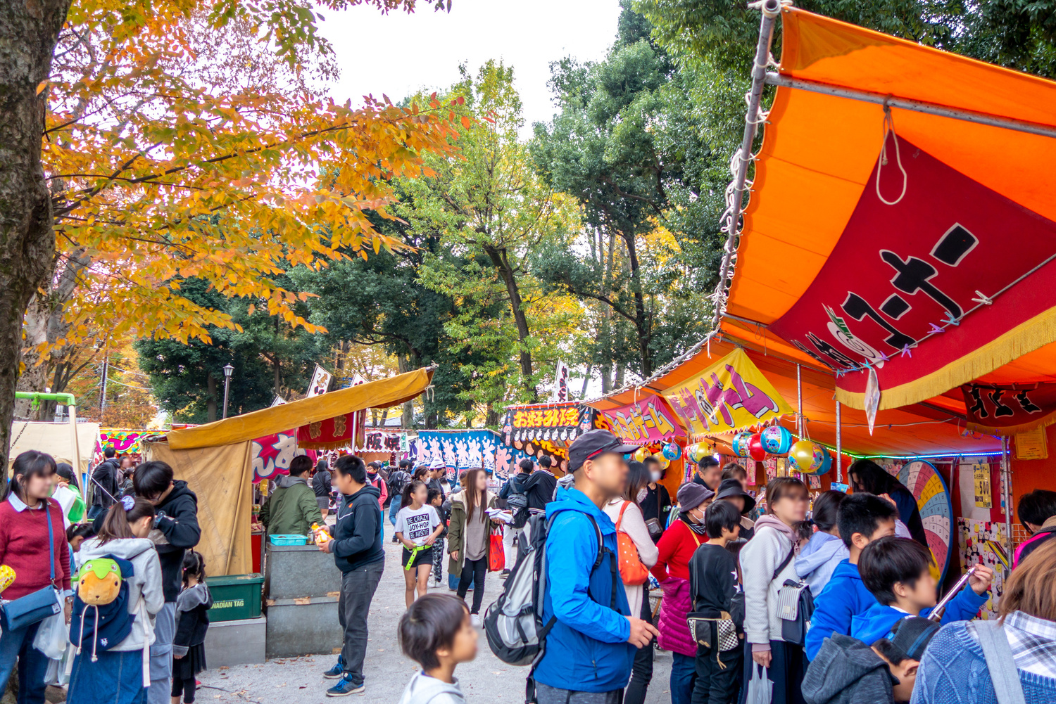 SẮC THU NHẬT BẢN NARA – OSAKA – KYOTO – NAGOYA – YAMANASHI – TOKYO - ảnh 8