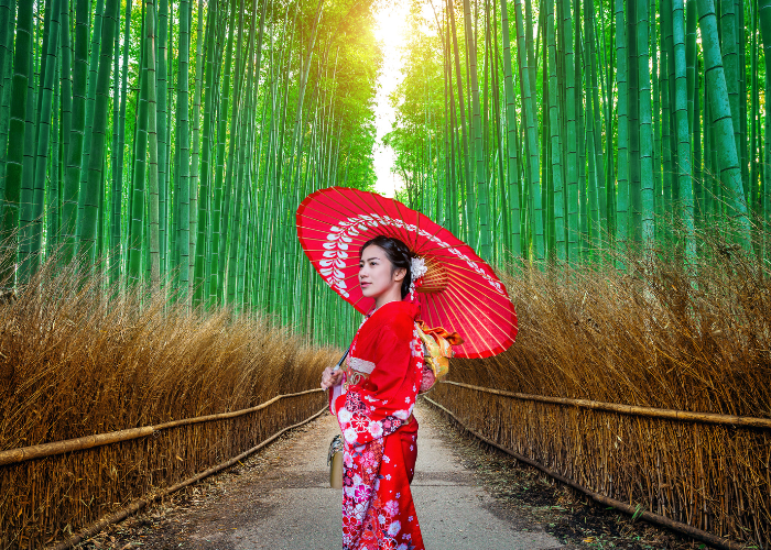 ĐÓN NĂM MỚI TẠI OSAKA – KYOTO – KOBE - ảnh 1