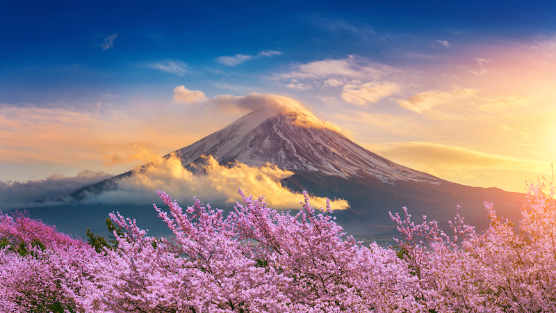 CUNG ĐƯỜNG VÀNG NHẬT BẢN OSAKA – PHÚ SĨ – NAGOYA - KYOTO  - ảnh 1