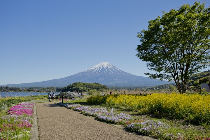 CUNG ĐƯỜNG VÀNG NHẬT BẢN OSAKA – PHÚ SĨ – NAGOYA - KYOTO  - ảnh 4