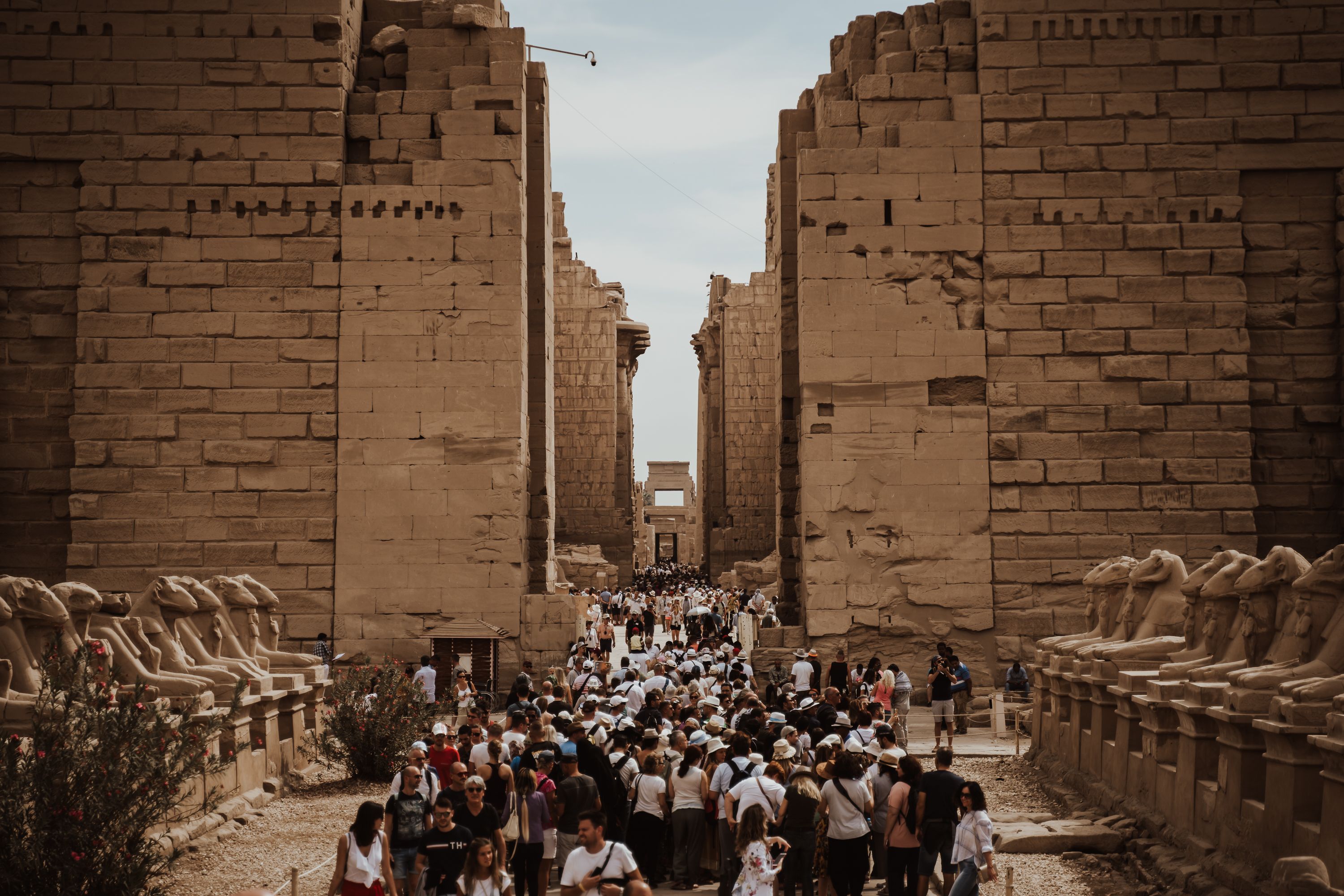 AI CẬP CAIRO - BAHARIYA - LUXOR - BIỂN ĐỎ - ảnh 4