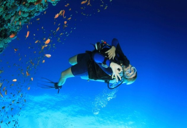 CAIRO - ALEXANDRIA - LUXOR – HURGHADA  - ảnh 6