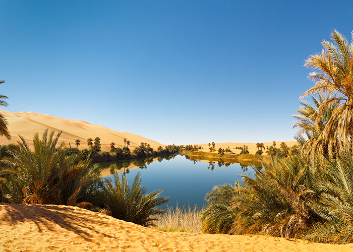 TOUR DU LỊCH AI CẬP CAIRO - BAHARIYA – ALEXANDRIA - ASWAN - LUXOR - BIỂN ĐỎ - ảnh 2