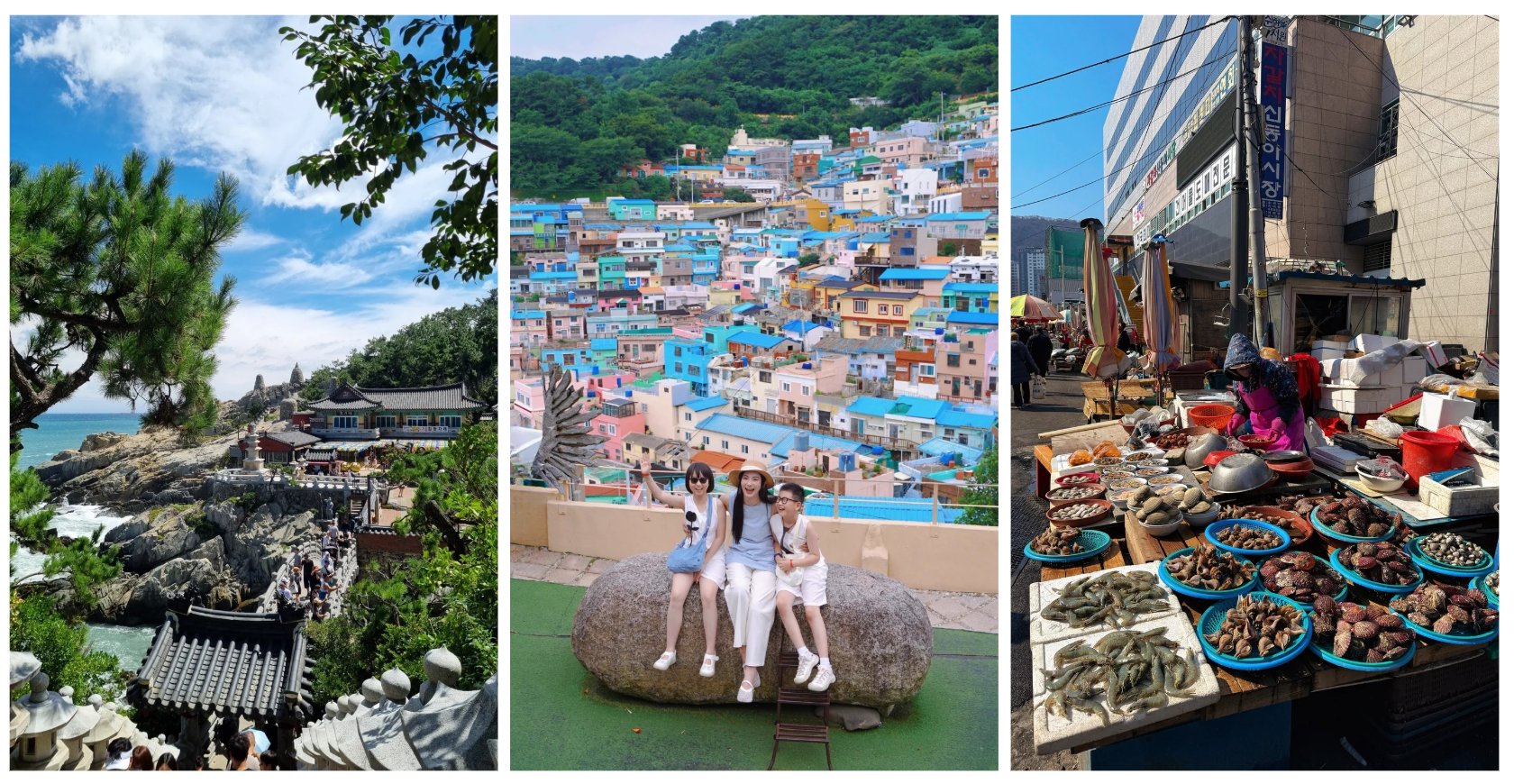 BUSAN - SEOUL - NAMI - CITY TOUR - ảnh 1