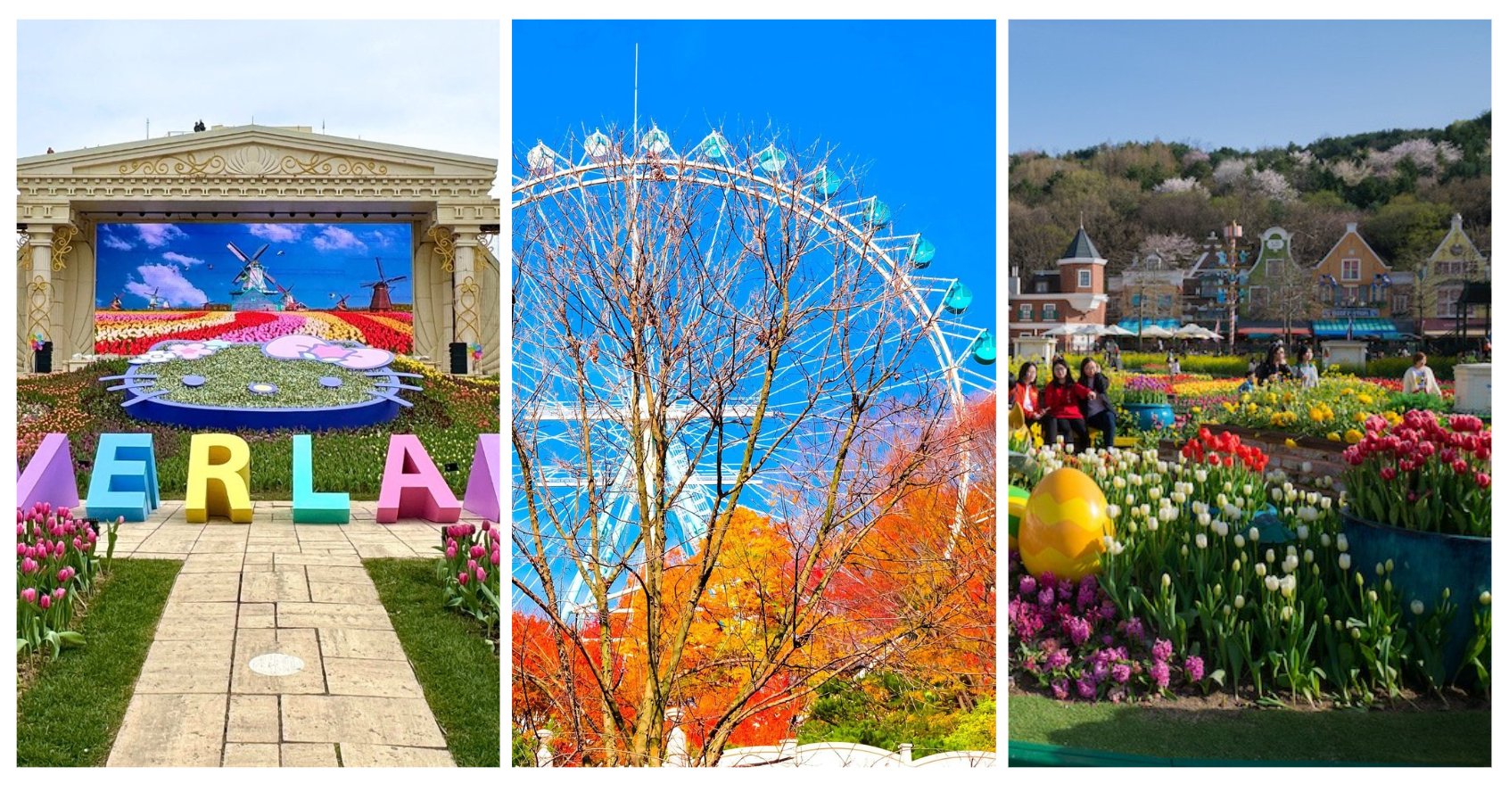   	 SEOUL - NAMI - EVERLAND - HÁI TÁO MÙA THU (Đi sáng về tối) - ảnh 1
